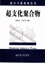 超支化聚合物