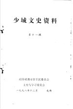 少城文史资料 第11辑