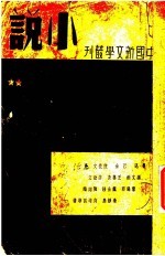 小说 2