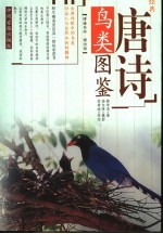 唐诗鸟类图鉴