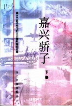 嘉兴市文史资料 第6辑 嘉兴骄子 下
