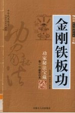 金刚铁板功:功家秘法宝藏 卷2 硬形功夫