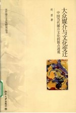 大众媒介与文化变迁 中国当代媒介文化的散点透视