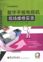数字平板电视机现场维修实录