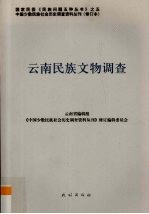 云南民族文物调查