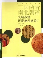 中国文化探秘 三国两晋南北朝篇 火烧赤壁，还是瘟疫感染？