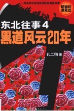 东北往事 4 黑道风云20年
