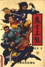 魔宫五龙 中