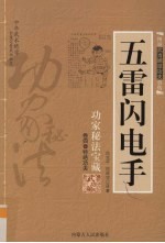 五雷闪电手
