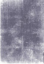 英米文学史講座 8