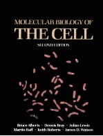 MOLECULAR BIOLOGY OF THE CELL SECOND EDITION