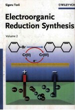 ELECTROORGANIC REDUCTION SYNTHESIS VOLUME 2