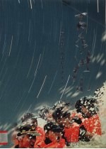 百年洪水 万宁军民抗击特大洪灾纪实