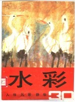水彩 第30辑 人物 风景 静物