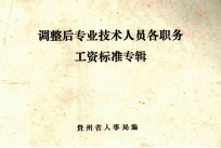 调整后专业技术人员各职务工资标准专辑