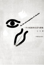 一个小说家的生活与想象