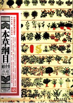 本草纲目秘方全书 典藏精品版