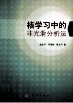 核学习中的非光滑分析法