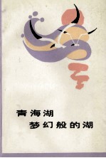 青海湖，梦幻般的湖