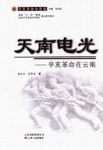 天南电光 辛亥革命在云南