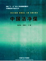 中国洁净煤