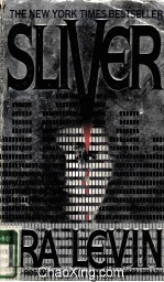 SLIVER A NOVEL