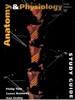 STUDY GUIDE TO ACCCOMPANY ANATOMY & PHYSIOLOGY SEELEY STEPHENS TATE THIRD EDITION