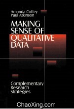 MAKING SENSE OF QUALITATIVE DATA COMPLEMENTARY RESEARCH STRATEGIES