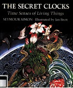THE SECRET CLOCKS