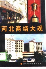 河北商场大观