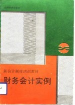 财务会计实例