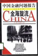 金海旋流 中国金融问题报告