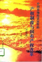 中国市场经济运作的产权制度与国有产权改革 理论篇