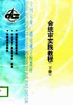 会统审实践教程 下