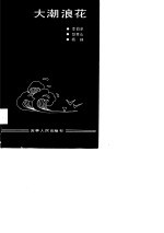 大潮浪花 长春市郊区改革经验汇编
