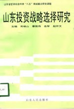 山东投资战略选择研究