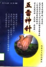 济世神功 五雷神针