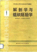 解剖学与组织胚胎学