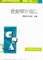 社会审计准则