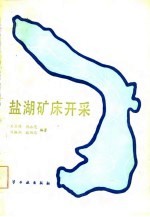 盐湖矿床开采