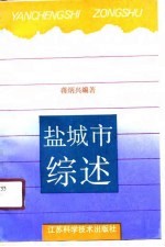 盐城市综述