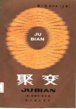 聚变 第1卷 磁约束 上