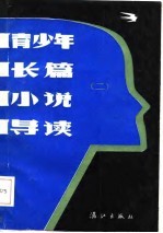 青少年长篇小说导读 2