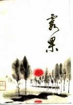 霞果 短篇小说集