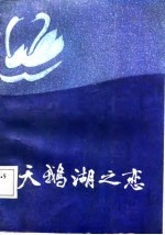天鹅湖之恋
