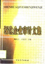 深化企业审计文集