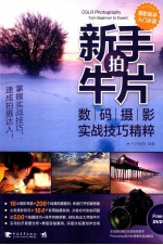 新手拍牛片 数码摄影实战技巧精粹