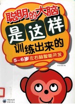 聪明的大脑是这样训练出来的 5-6岁左右脑智能开发