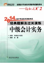 2014年会计专业技术资格考试经典题解及过关演练 中级会计实务