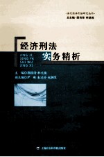 经济刑法实务精析